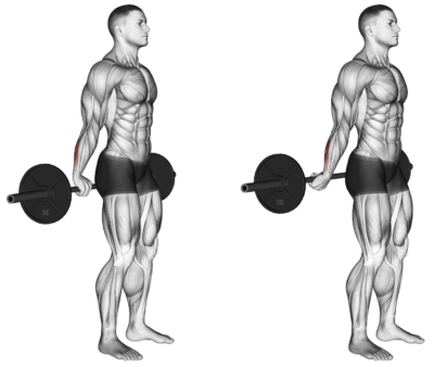 BEHIND THE BACK BARBELL WRIST CURL